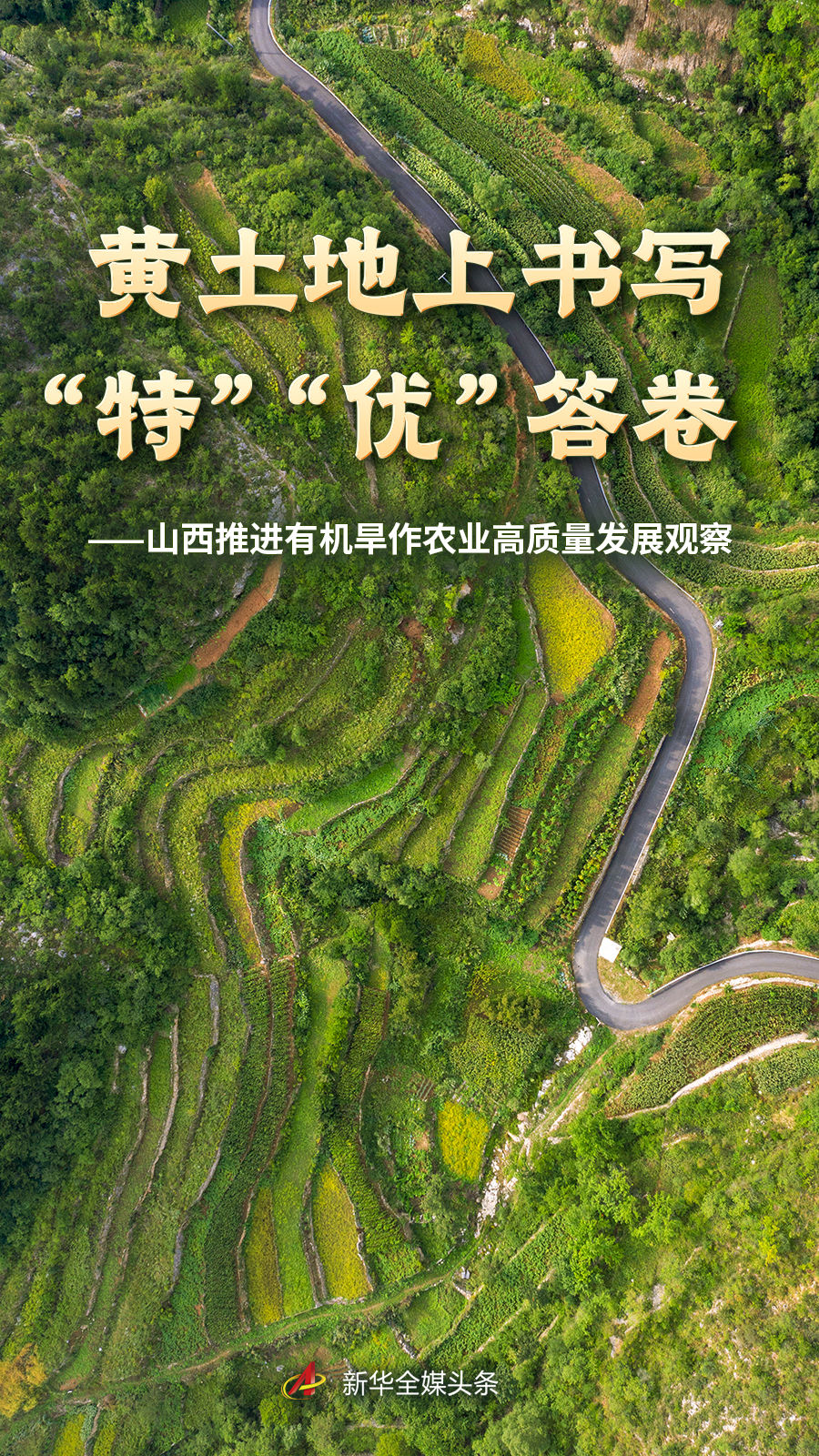 蓝鲸体育